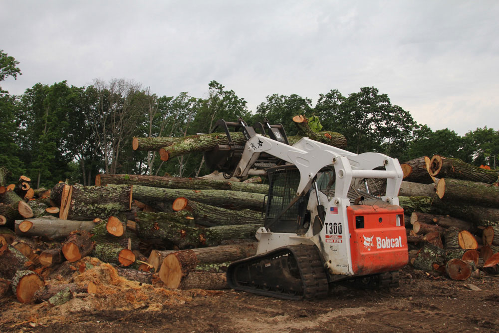 Chattanooga Tree Service's Bobcat Chattanooga Tree Service's Bobcat