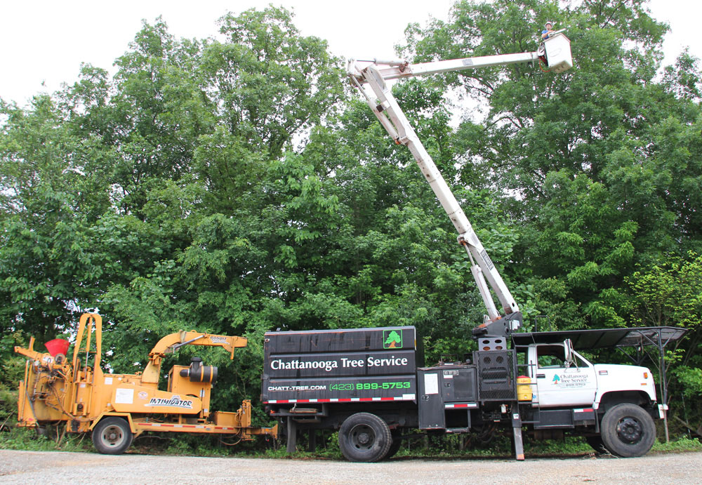 Chattanooga Tree Service's Bucket Truck Chattanooga Tree Service's Bucket Truck