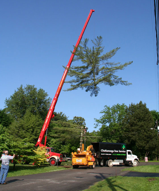 Chattanooga Tree Service's Chipper and Chip Truck Chattanooga Tree Service's Chipper and Chip Truck