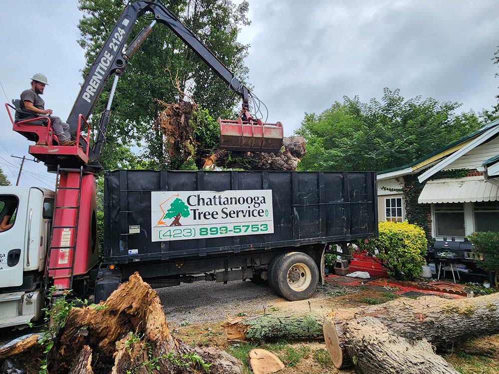 Chattanooga Tree Service's Grapple Truck Chattanooga Tree Service's Grapple Truck