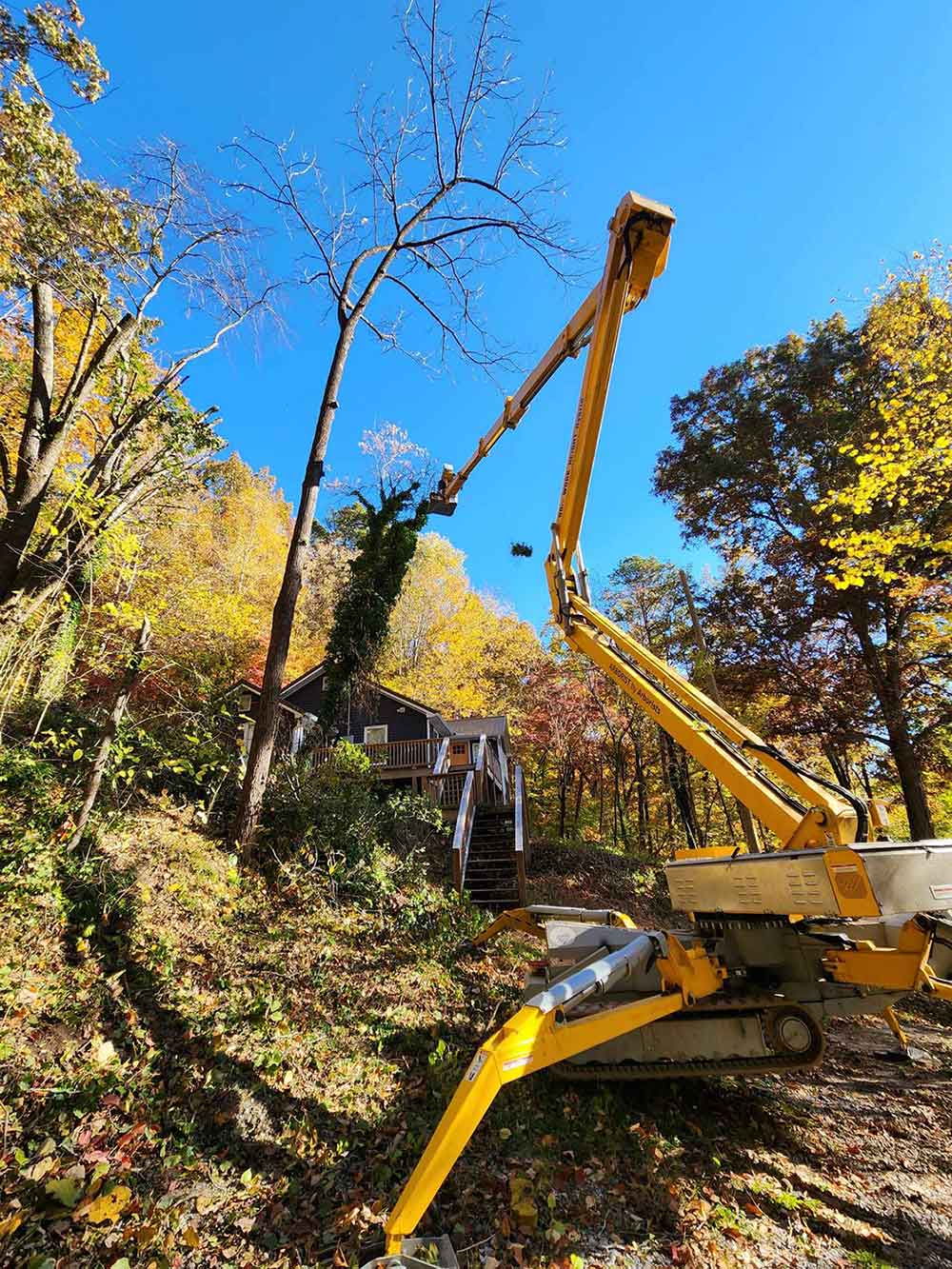 Chattanooga Tree Service's Tracked Lift Chattanooga Tree Service's Tracked Lift