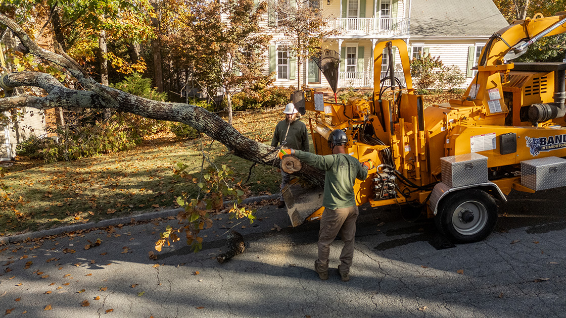 Chattanooga Tree Service's Chipper in action Chattanooga Tree Service's Chipper in action