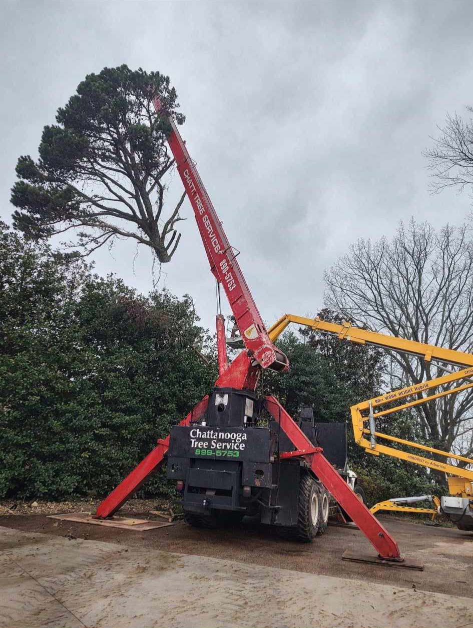 A Chattanooga Tree Service Crane Moving A Tree Chattanooga Tree Service's Cranes
