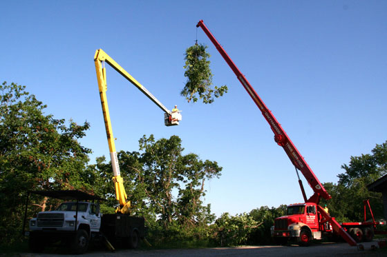 Chattanooga Tree Service's Cranes Chattanooga Tree Service's Cranes